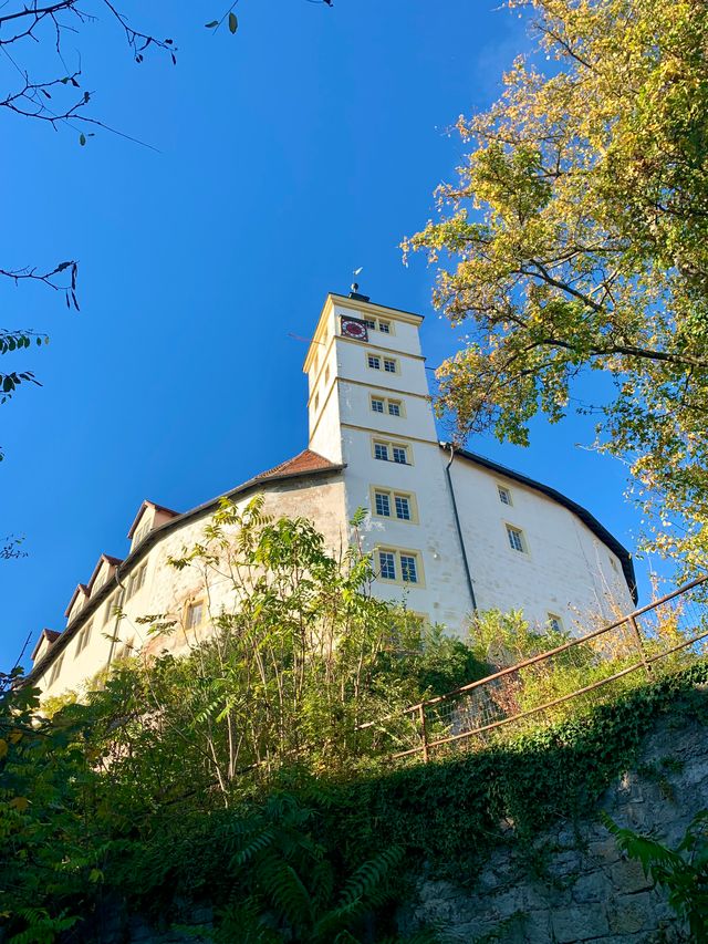 Grüne MdL auf Baustellen-Besichtigung auf Schloss Kaltenstein