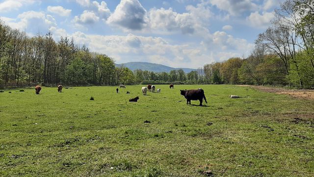 750.000 Euro zusätzlich für Naturparke im Land